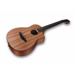 GUIT ACUST PIONEER MM