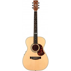 EBG808TE Tommy Emmanuel w/Case