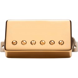 APH-2b Slash Alnc II Pro HB Gold Cover