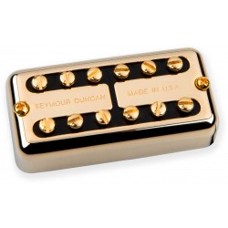 Psyclone Vintage Neck Gold Cover