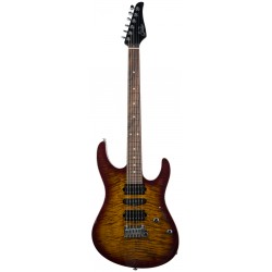 MODERN PLUS BENGAL BURST PF HSH