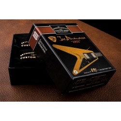 Bonamassa Amos SetCustom