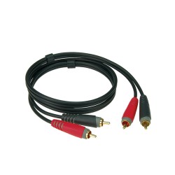 AT-CC0100 RCA 1m