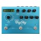 PEDAL REVERB BIG SKY