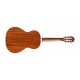 P-240 12-Fret Parlor Nat