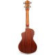 CDST-C Ukulele Concerto con Top in Cedro