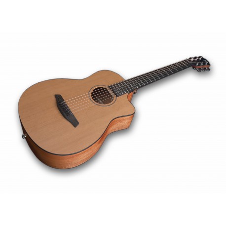 GUIT ACUST PIONEER CM