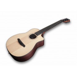 GUIT ACUST PIONEER ER