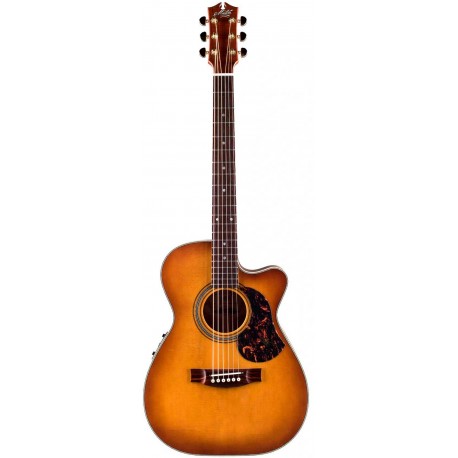 EBG808C Nashville w/Case