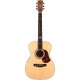 EBG808TE Tommy Emmanuel w/Case