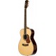 The Maton Classic w/Deluxe Case