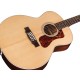 B-STOCK F-1512 12-string Nat