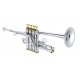 XO BB/A PICCOLO TRUMPET XO1700RS