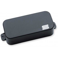 Dino C neck 7 strg passive mount