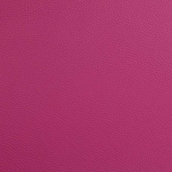 ET7001XLRR L'ETOILE Hightech 6 bows case for Violin, Viola & Cello