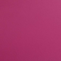 ET6001XLRR L'ETOILE Hightech French Horn case