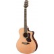 WAG630CEW Chitarra Acustica Natura 600