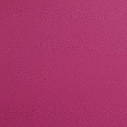 ET2018XLRR L'ETOILE HIGHTECH Oblong with back pocket