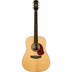 The Master Built Dreadnought w/Deluxe Case