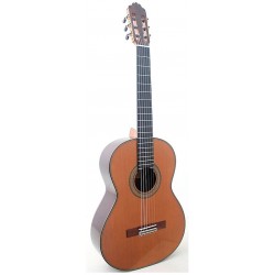 CHITARRA P.BERNABE MOD.15 TAVOLA CEDRO