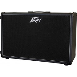 212-6 Guitar Enclosure