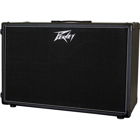 212-6 Guitar Enclosure