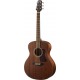 WAG551E Chitarra Acustica Natura 500