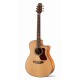 WAG570CE Chitarra Acustica Natura 500