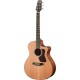 WAG570CEW Chitarra Acustica Natura 500