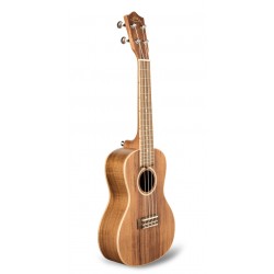 ACST-C Ukulele Concerto con Top in Acacia