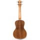 ACST-C Ukulele Concerto con Top in Acacia