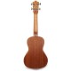 ACST-CEC Ukulele Concerto con Top in Acacia e Preamp