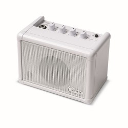 CO-SPEAKER - Mini Speaker