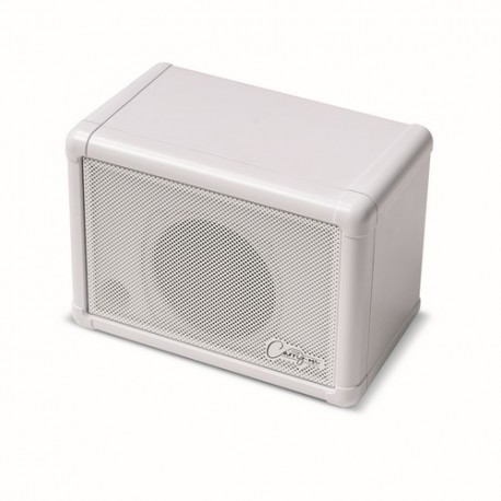 CO-SPEAKER-EXT - Mini Extension Speaker