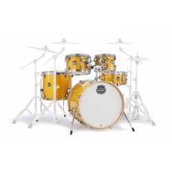 MA529SFYD Mars Birch Rock 5 pezzi Sunflower Sparkle