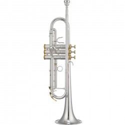 XO BB TRUMPET XO1602SLTR