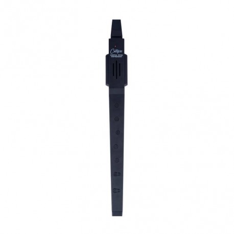 DIGITAL WIND INSTRUMENT BLACK