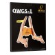 OWGS-1