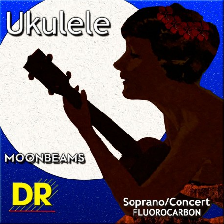 UFSC Ukelele Soprano/Concert