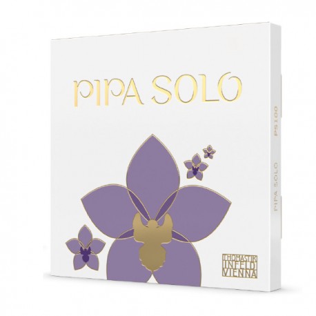 PS01 PIPA SOLO A-STRING