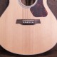 WAG550EW Chitarra Acustica Natura 500