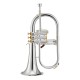 XO BB FLUGELHORN XO1646RS