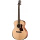 WAG550RE Chitarra Acustica Natura 500