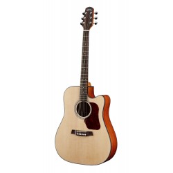 WAD550CE Chitarra Acustica Natura 500