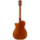EBG808TEC Tommy Emmanuel w/Case