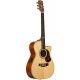 EBG808TEC Tommy Emmanuel w/Case