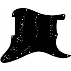 Pickgrd Assy Everything Axe Blk