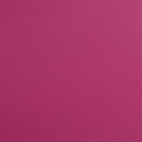 ET6001XLRR L'ETOILE Hightech French Horn case